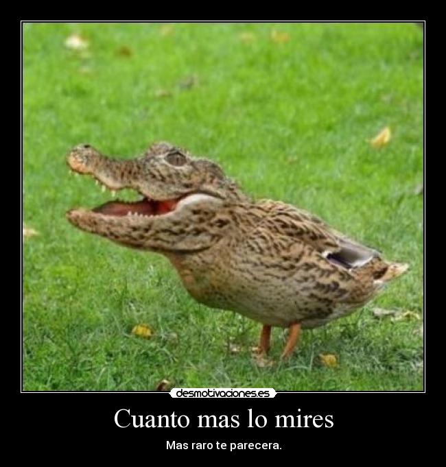 Cuanto mas lo mires -