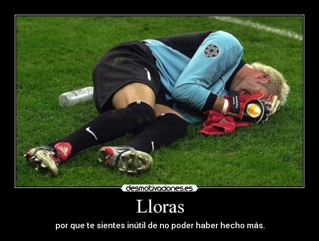 Lloras - por que te sientes inútil de no poder haber hecho más.