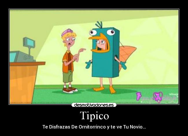 Tipico -