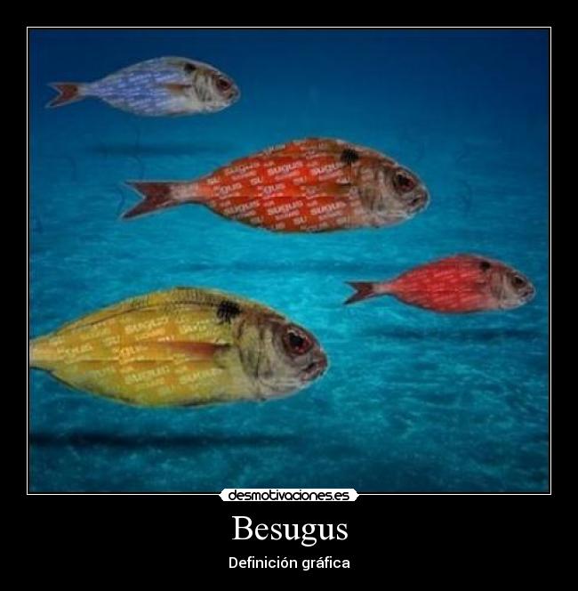 Besugus - 