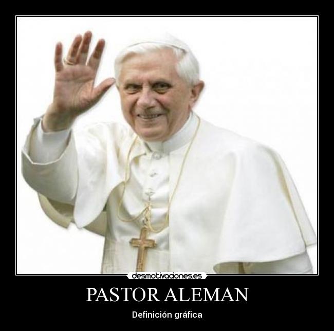 PASTOR ALEMAN - Definición gráfica