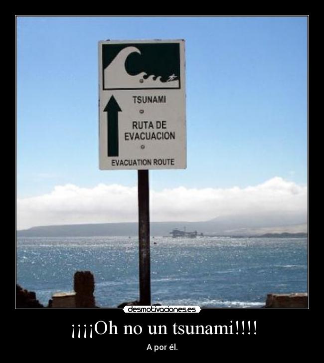 ¡¡¡¡Oh no un tsunami!!!! - A por él.