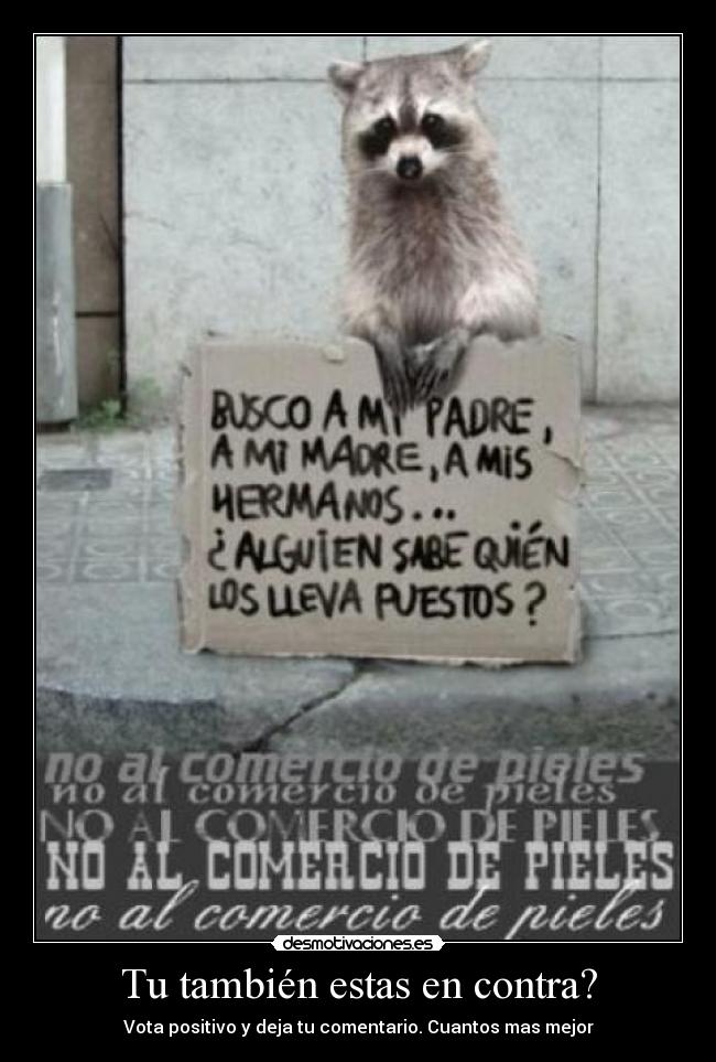 carteles 123 desmotivaciones