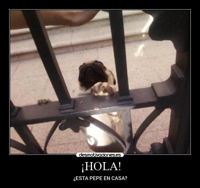 ¡HOLA! - ¿ESTA PEPE EN CASA?