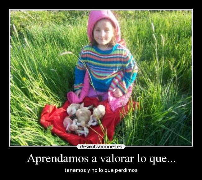 Aprendamos a valorar lo que... - 