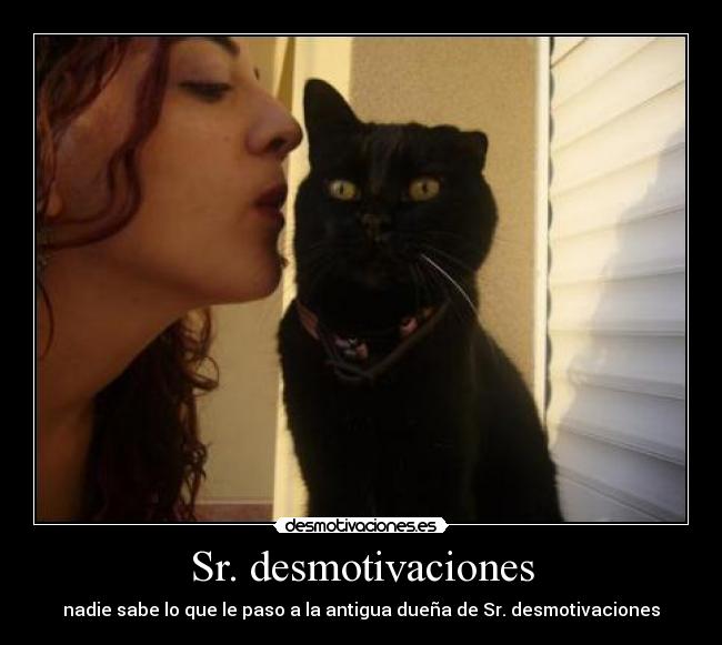Sr. desmotivaciones -