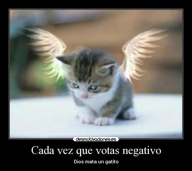 Cada vez que votas negativo - Dios mata un gatito