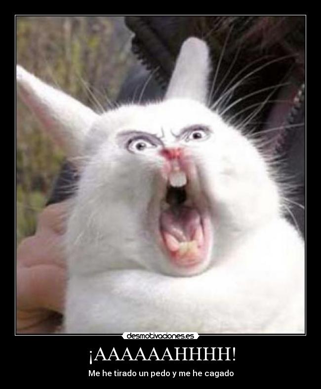 ¡AAAAAAHHHH! - 