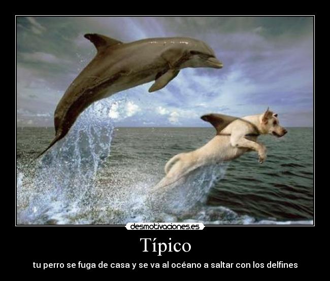 Típico -