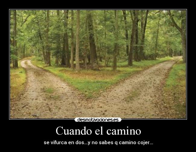 Cuando el camino - se vifurca en dos...y no sabes q camino cojer...