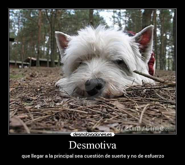 Desmotiva -