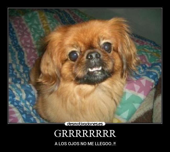 GRRRRRRRR - A LOS OJOS NO ME LLEGOO..!!
