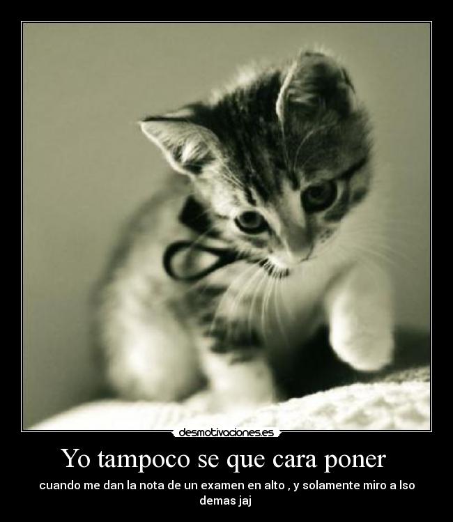 Yo tampoco se que cara poner  - cuando me dan la nota de un examen en alto , y solamente miro a lso demas jaj 