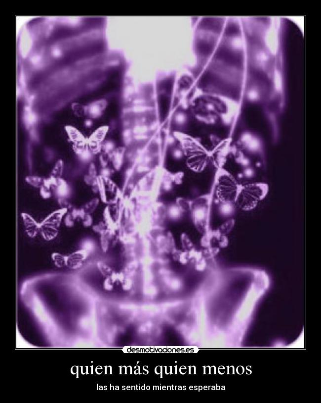 carteles mariposas desmotivaciones