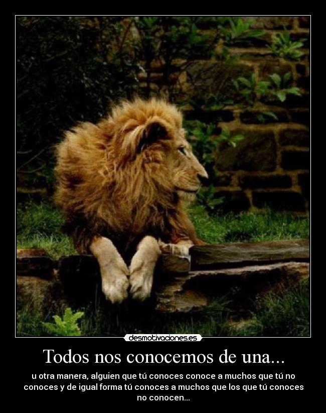 Todos nos conocemos de una... - 