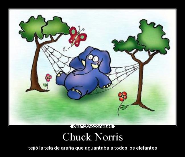 Chuck Norris -