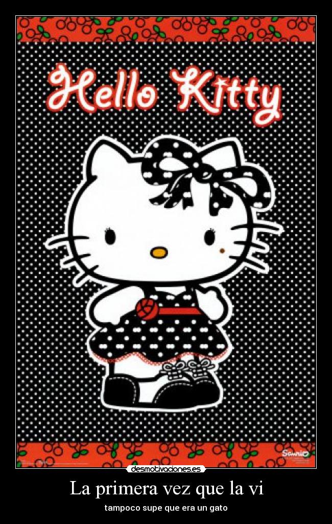 La primera vez que la vi - tampoco supe que era un gato