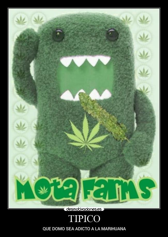 TIPICO - QUE DOMO SEA ADICTO A LA MARIHUANA