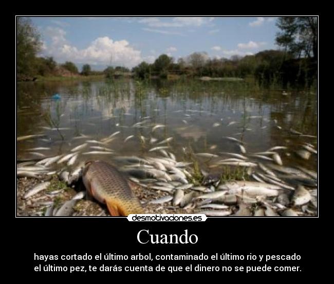 Cuando - hayas cortado el último arbol, contaminado el último rio y pescado
el último pez, te darás cuenta de que el dinero no se puede comer.