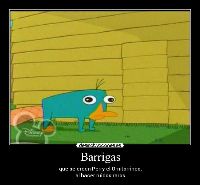 Barrigas - que se creen Perry el Ornitorrinco,
al hacer ruidos raros
