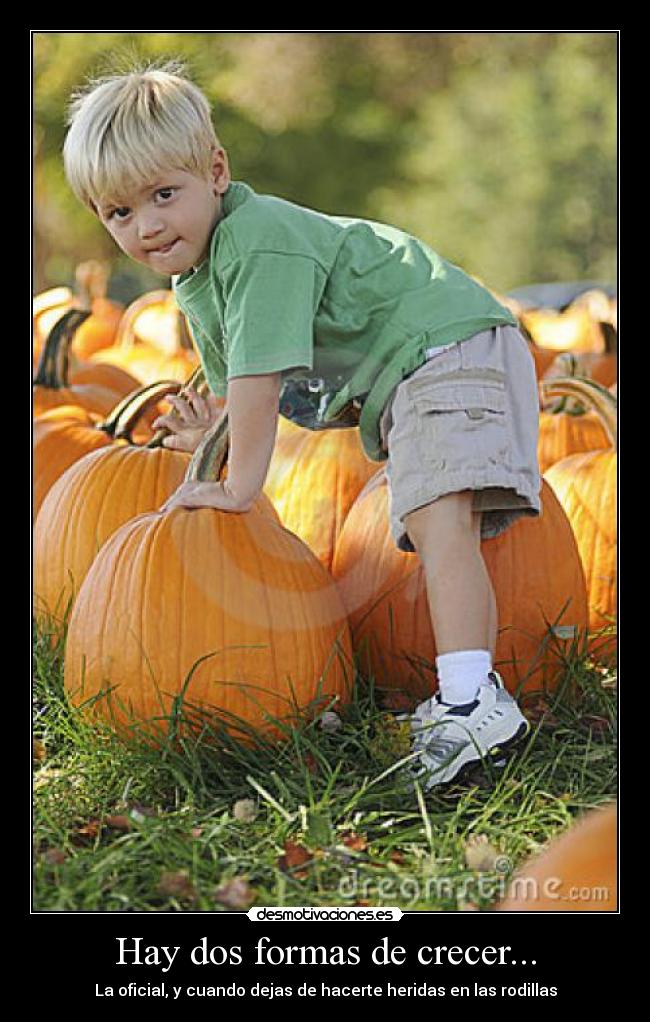 Hay dos formas de crecer... - La oficial, y cuando dejas de hacerte heridas en las rodillas