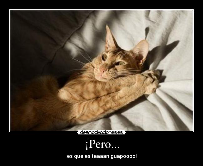 ¡Pero... -