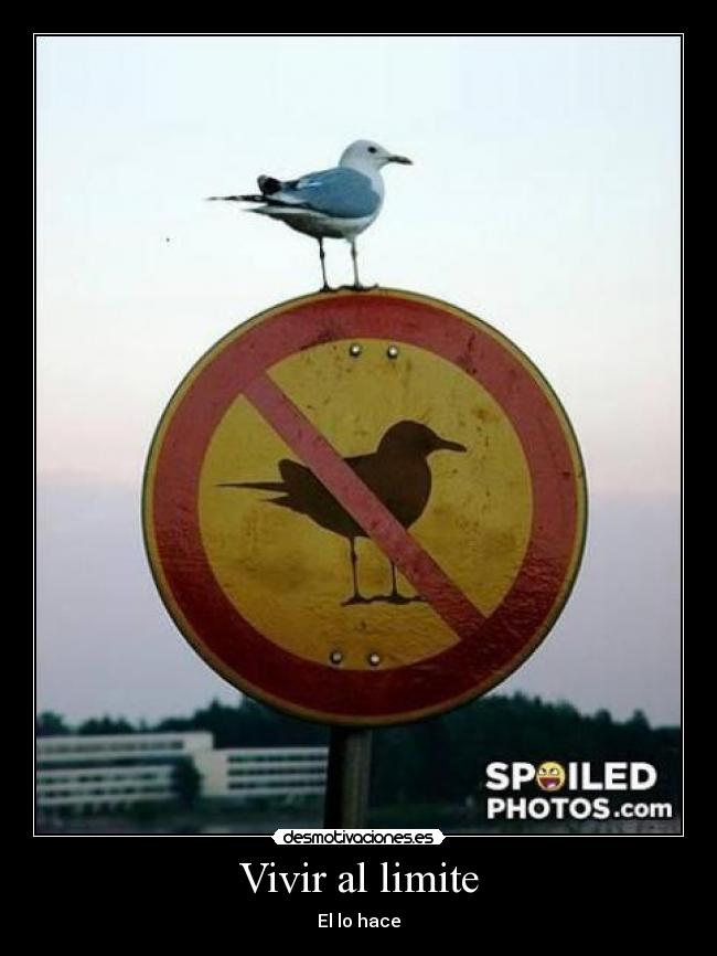Vivir al limite -