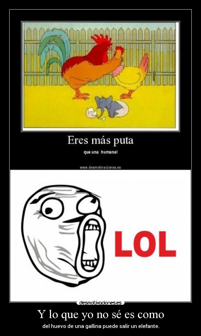 Y lo que yo no sé es como - 