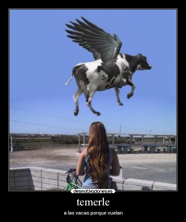 im-genes-y-carteles-de-hgfhg-desmotivaciones