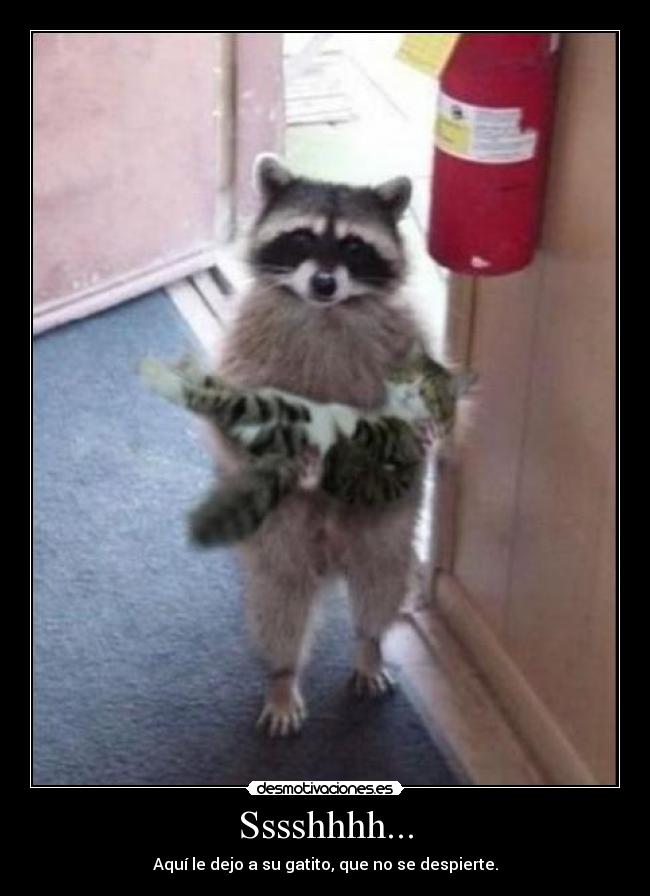 Sssshhhh... - Aquí le dejo a su gatito, que no se despierte.