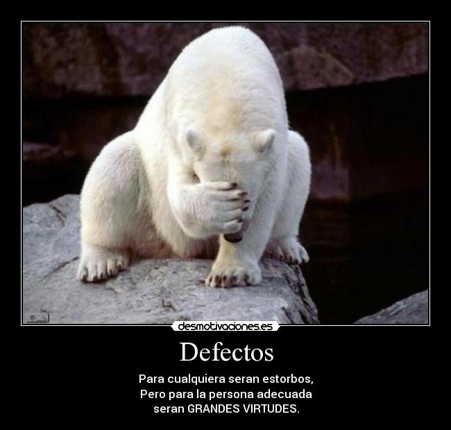 Defectos -