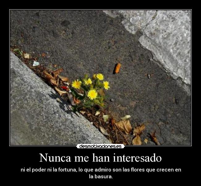 Nunca me han interesado - 