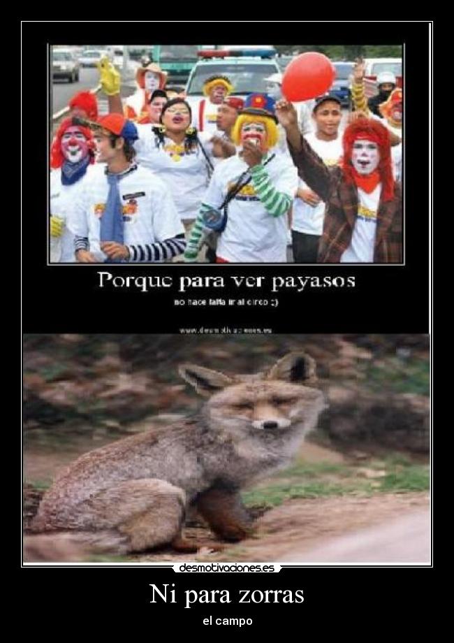 Ni para zorras -