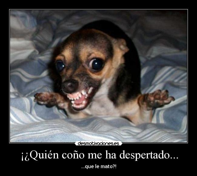 ¡¿Quién coño me ha despertado... -