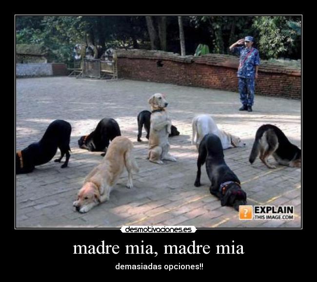 madre mia, madre mia - 