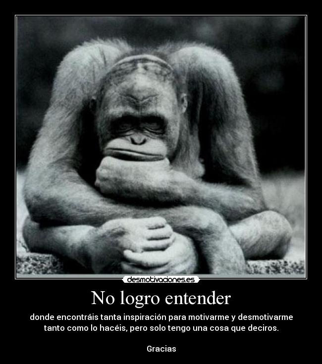 No logro entender -