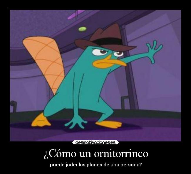 ¿Cómo un ornitorrinco - 