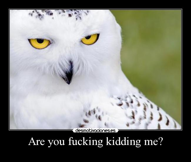 Are you fucking kidding me? - 