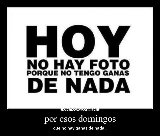 carteles 33333333333 desmotivaciones