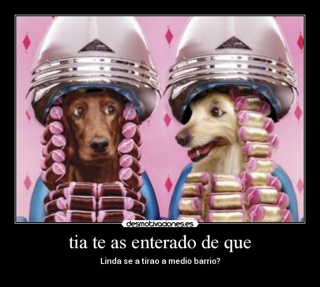 tia te as enterado de que -