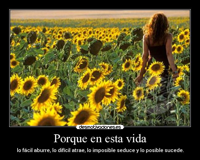 Porque en esta vida -