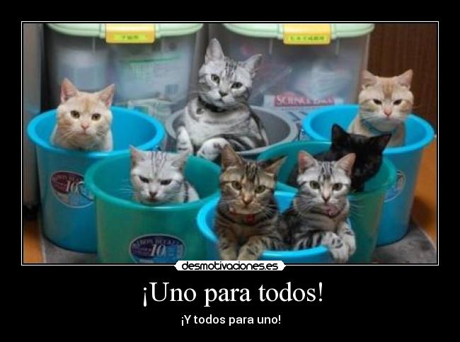 ¡Uno para todos! - 