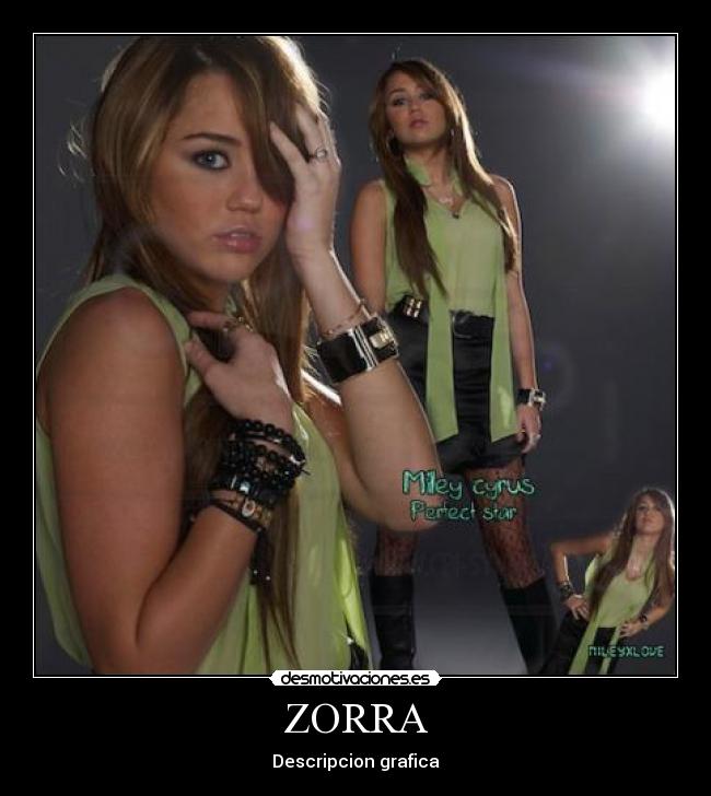 ZORRA - 