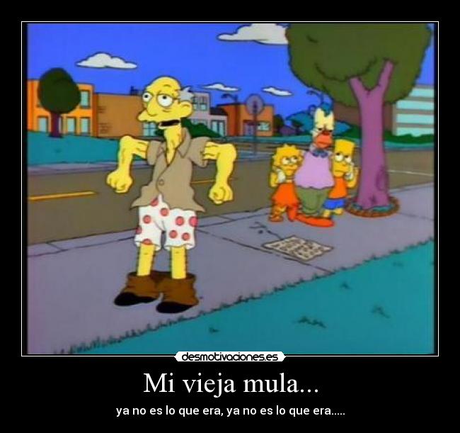 Mi vieja mula... - 