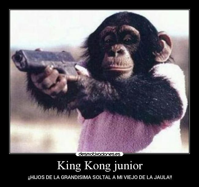King Kong junior -