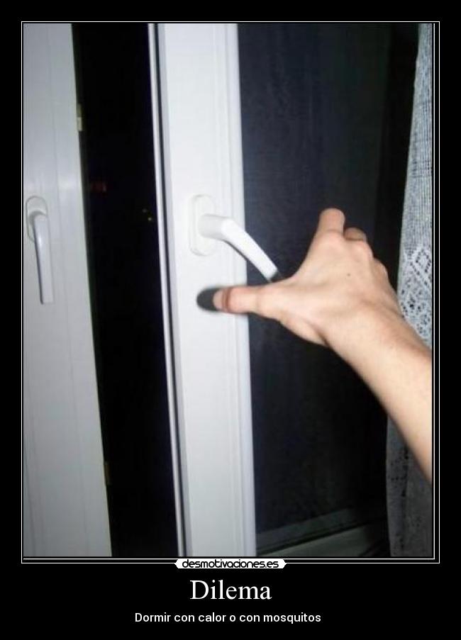 Dilema - Dormir con calor o con mosquitos  