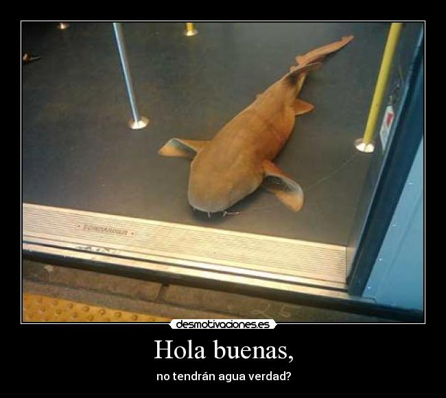 Hola buenas, - no tendrán agua verdad?