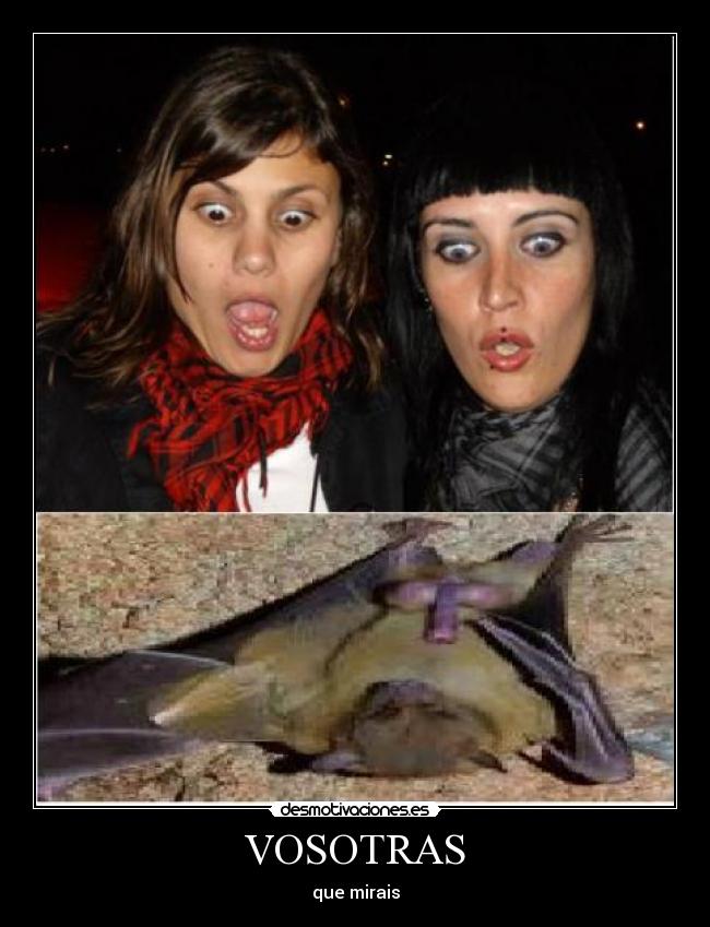 VOSOTRAS - que mirais