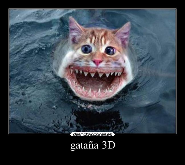 carteles gato desmotivaciones