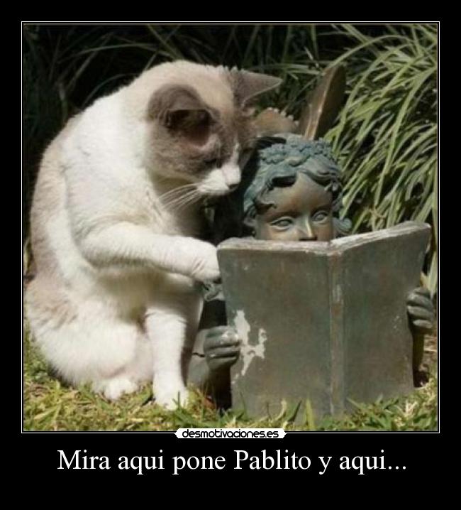 Mira aqui pone Pablito y aqui... -